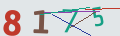 verifycode